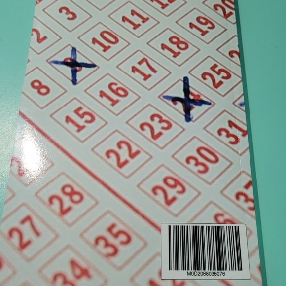 Writing Journal for Daily Lotto Numbers: Paperback 150 Pages - Picture 2 of 3